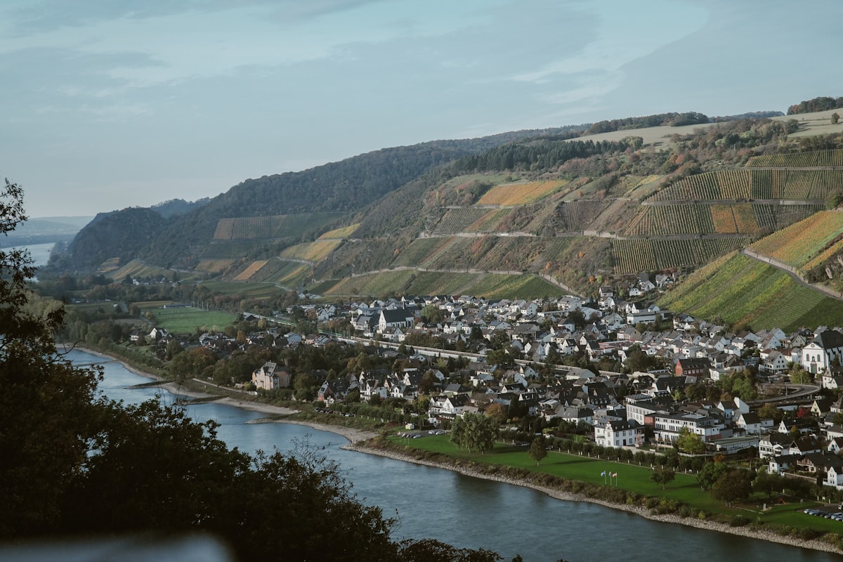 Mosel vineyard landscape