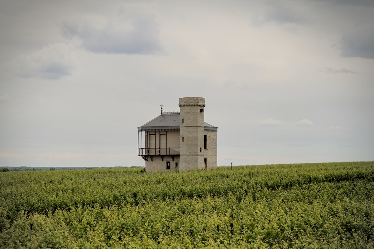 Vineyard tower in the Rhône Valley wine region of France