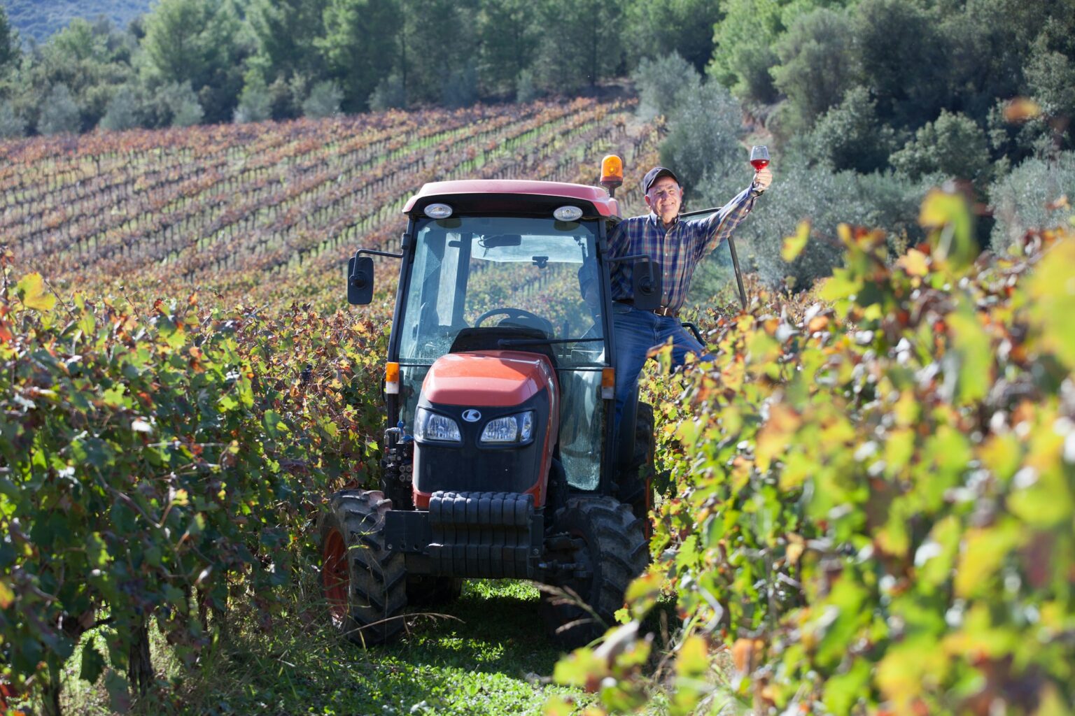 Assyrtiko Beyond Santorini: The Mainland Greek Push Autumn vineyards in Nemea, Peloponnese — mainland Greek wine country where Assyrtiko has expanded beyond Santorini onto limestone soils.