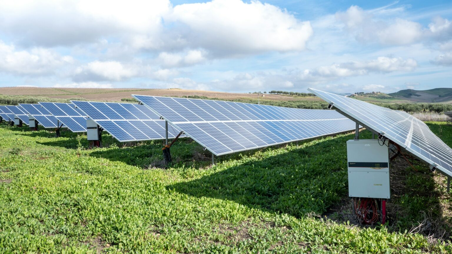 The Carbon-Neutral Wine Question: What IWCA Certification Actually Promises Solar panels above cover-cropped ground, the onsite-renewable-energy infrastructure behind IWCA Gold-tier carbon-neutral wine certification