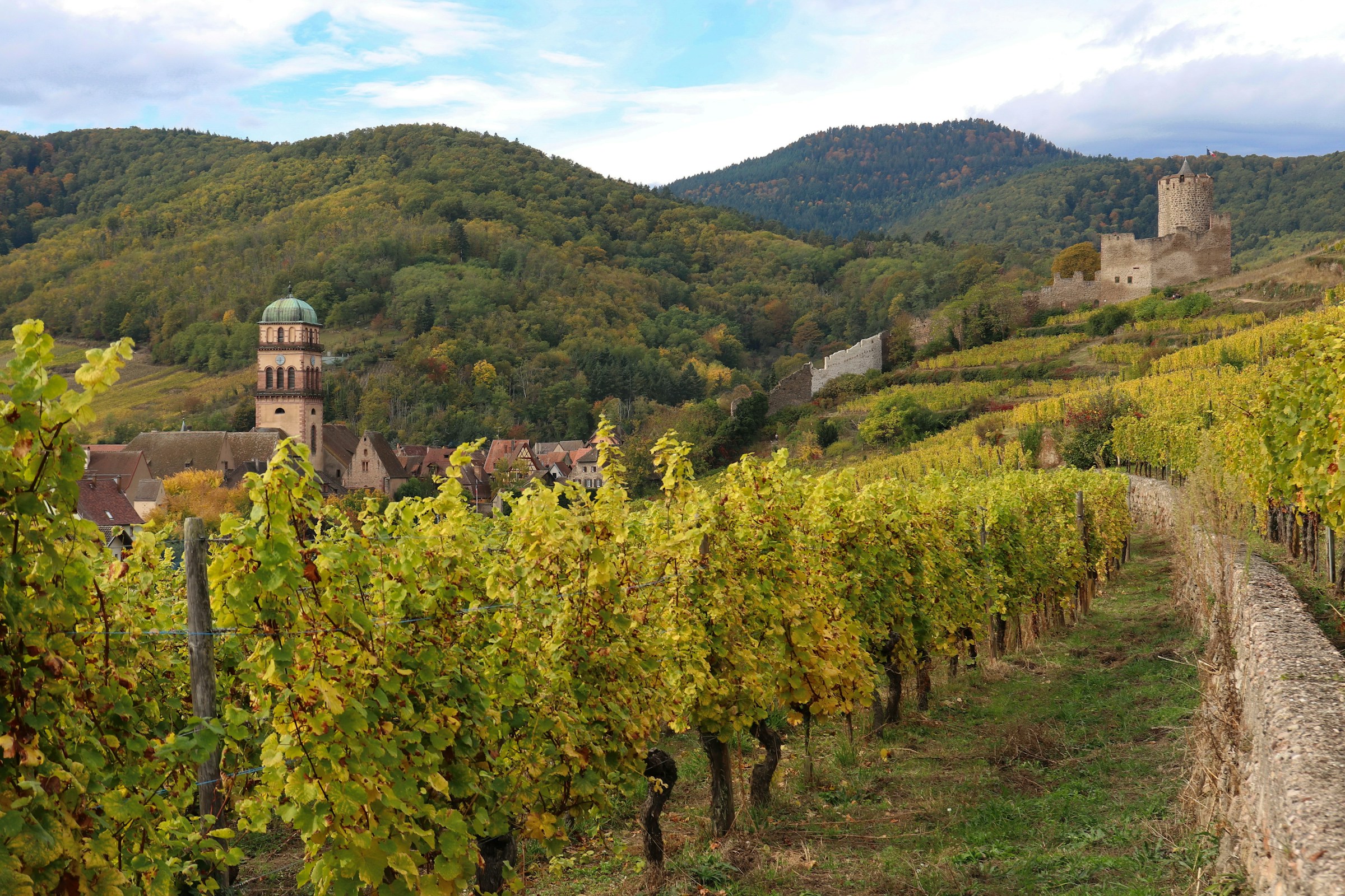 Autumn vineyard rows running toward an old village and a hilltop castle ruin