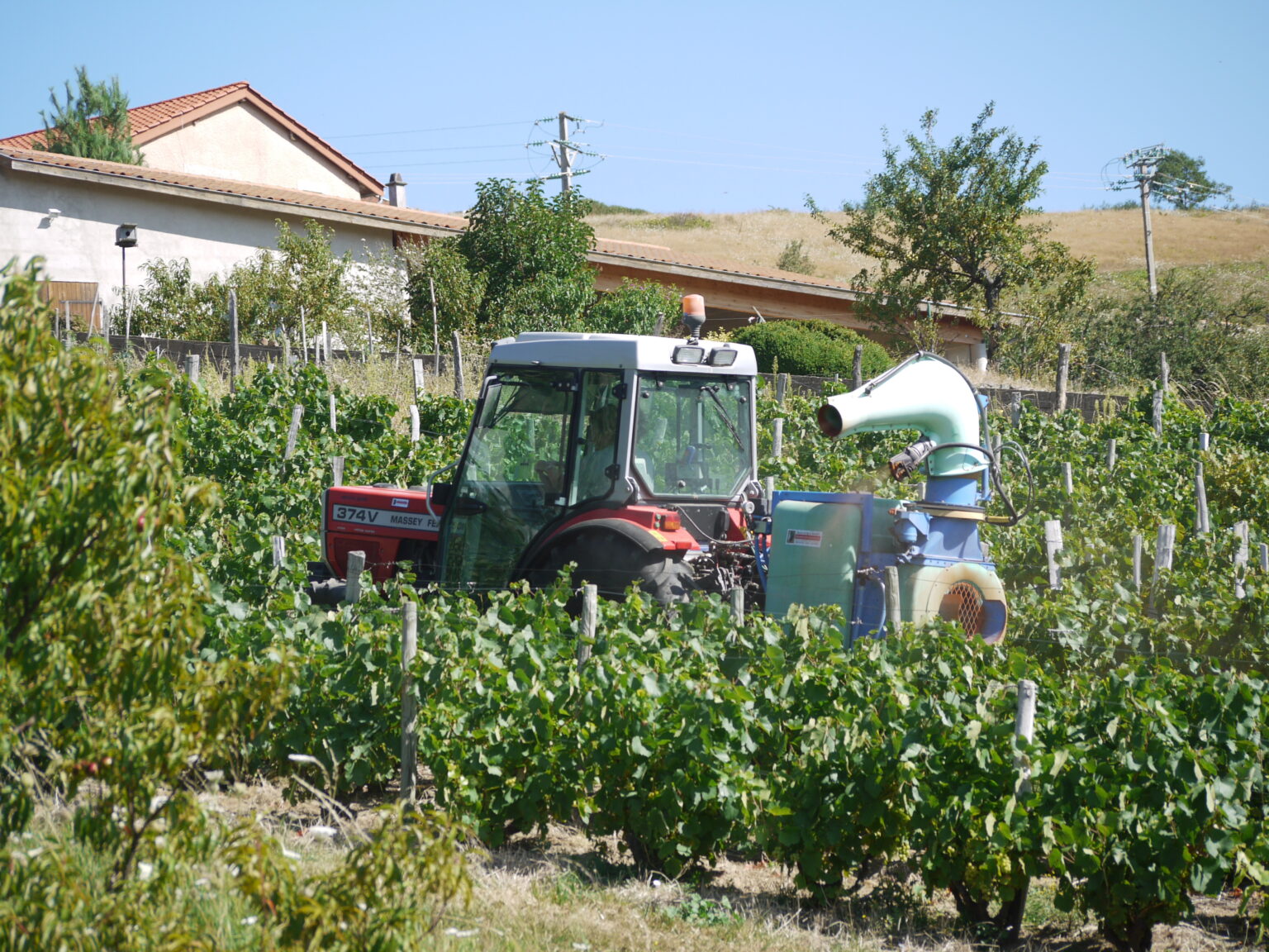 A tractor pulling a sprayer between rows of vines in Beaujolais, applying a treatment against mildew, the job copper does on organic sites