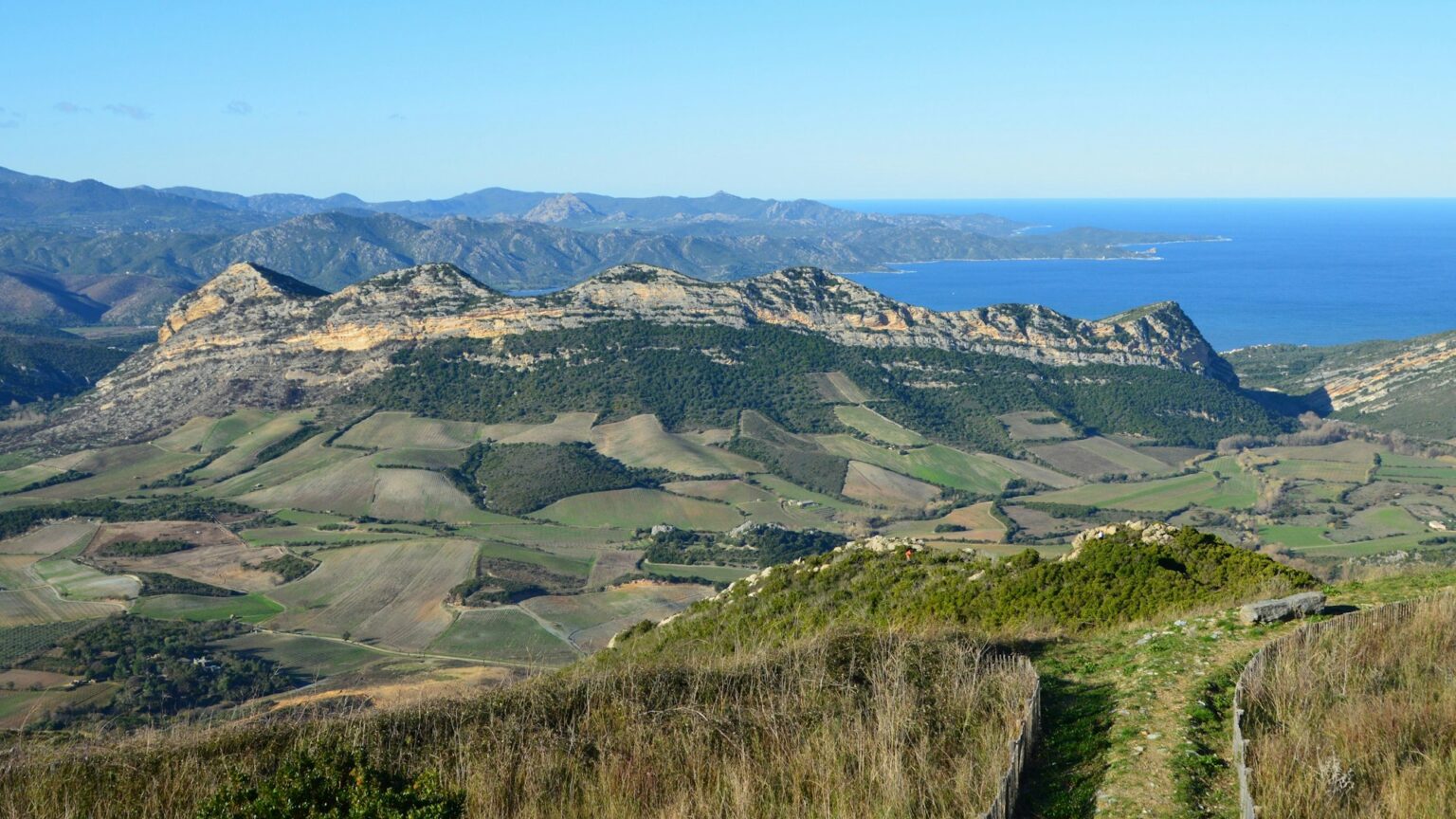 Vermentino’s Three Homes: One Grape, Three Rulebooks in Sardinia, Liguria, and Corsica Vineyards and farmland beneath a limestone ridge above the Mediterranean coast, the kind of ground where Vermentino grows
